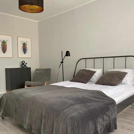 Apartament Kilinskiego 9 Świdnica Exteriör bild