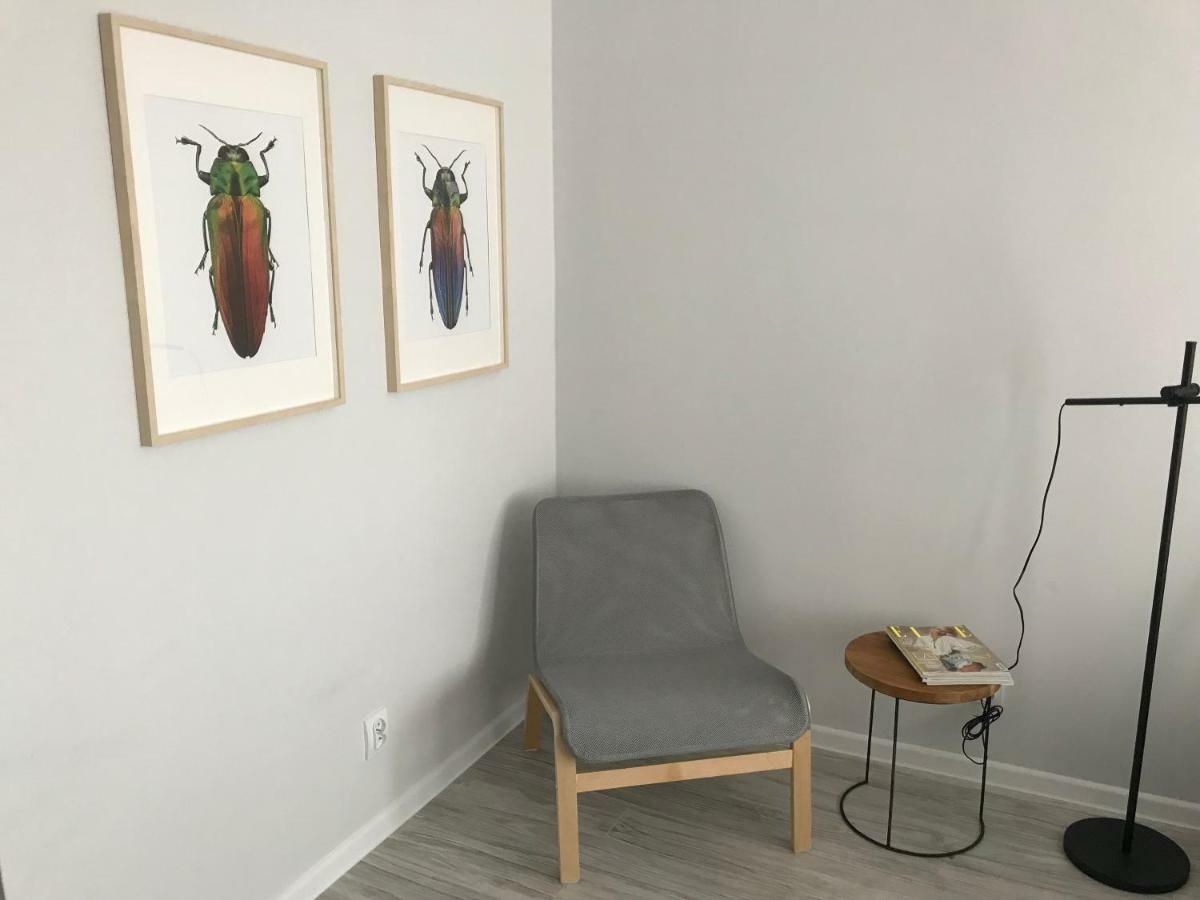 Apartament Kilinskiego 9 Świdnica Exteriör bild